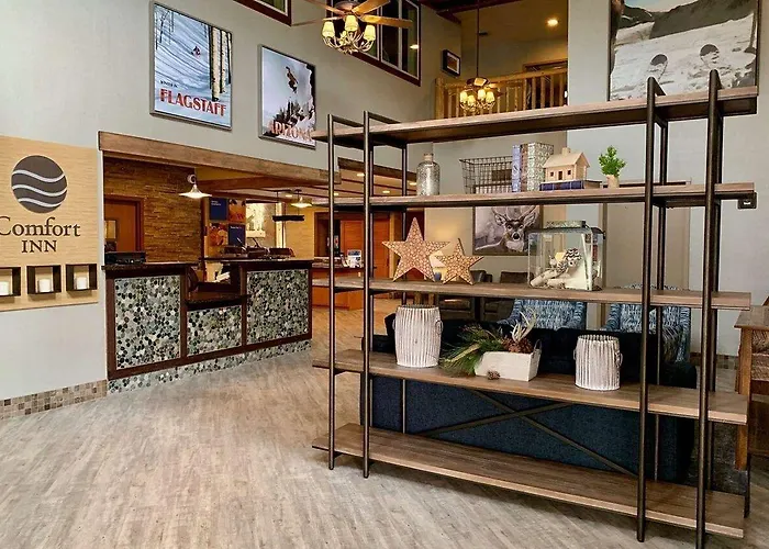 Locanda Comfort South I-17