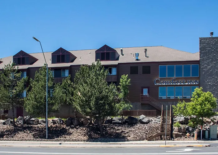 Comfort South I-17 Inn