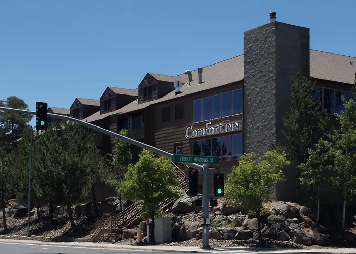Comfort South I-17 Inn