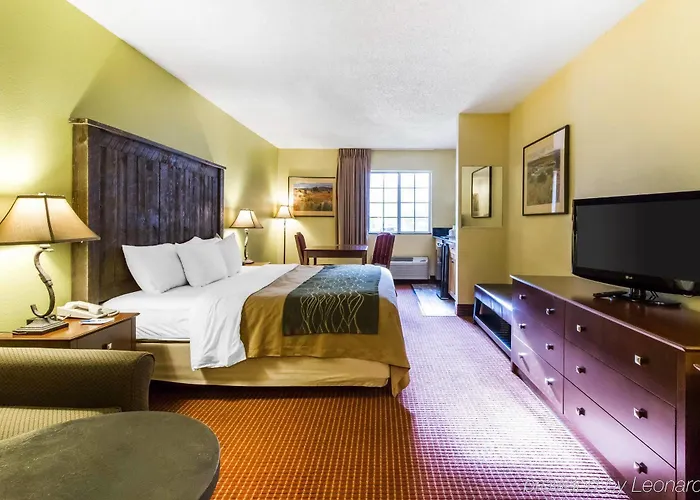 Comfort South I-17 Inn 5*