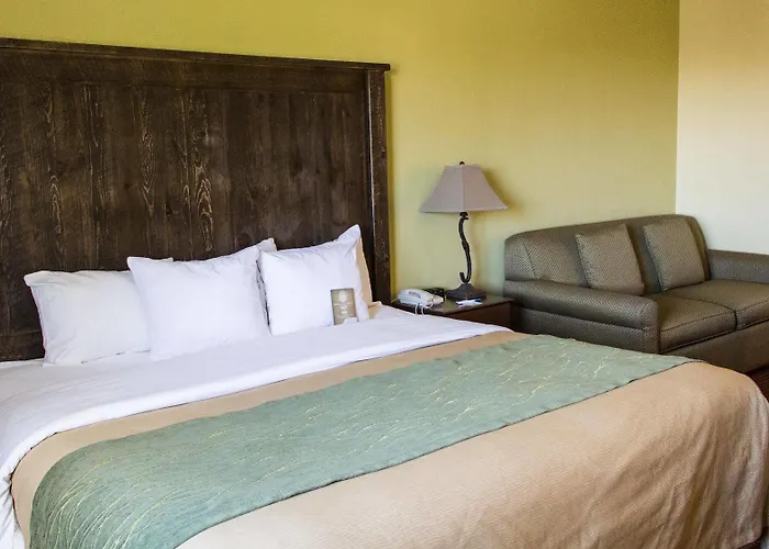Comfort South I-17 Inn